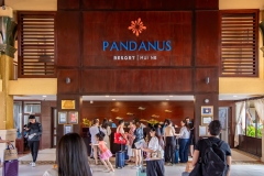 Pandanus-20th-Anniversary-P2_176