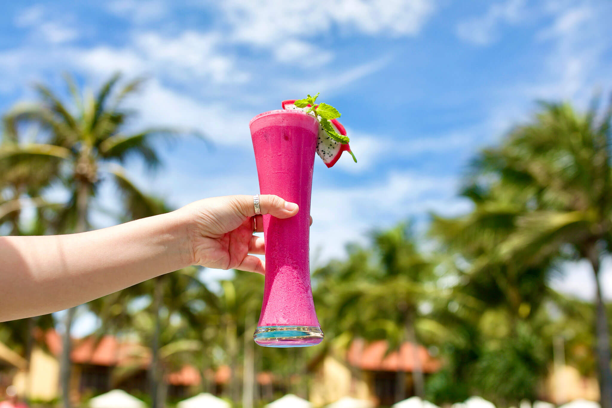 Vietnam’s First and Only Premium All-Inclusive Programme