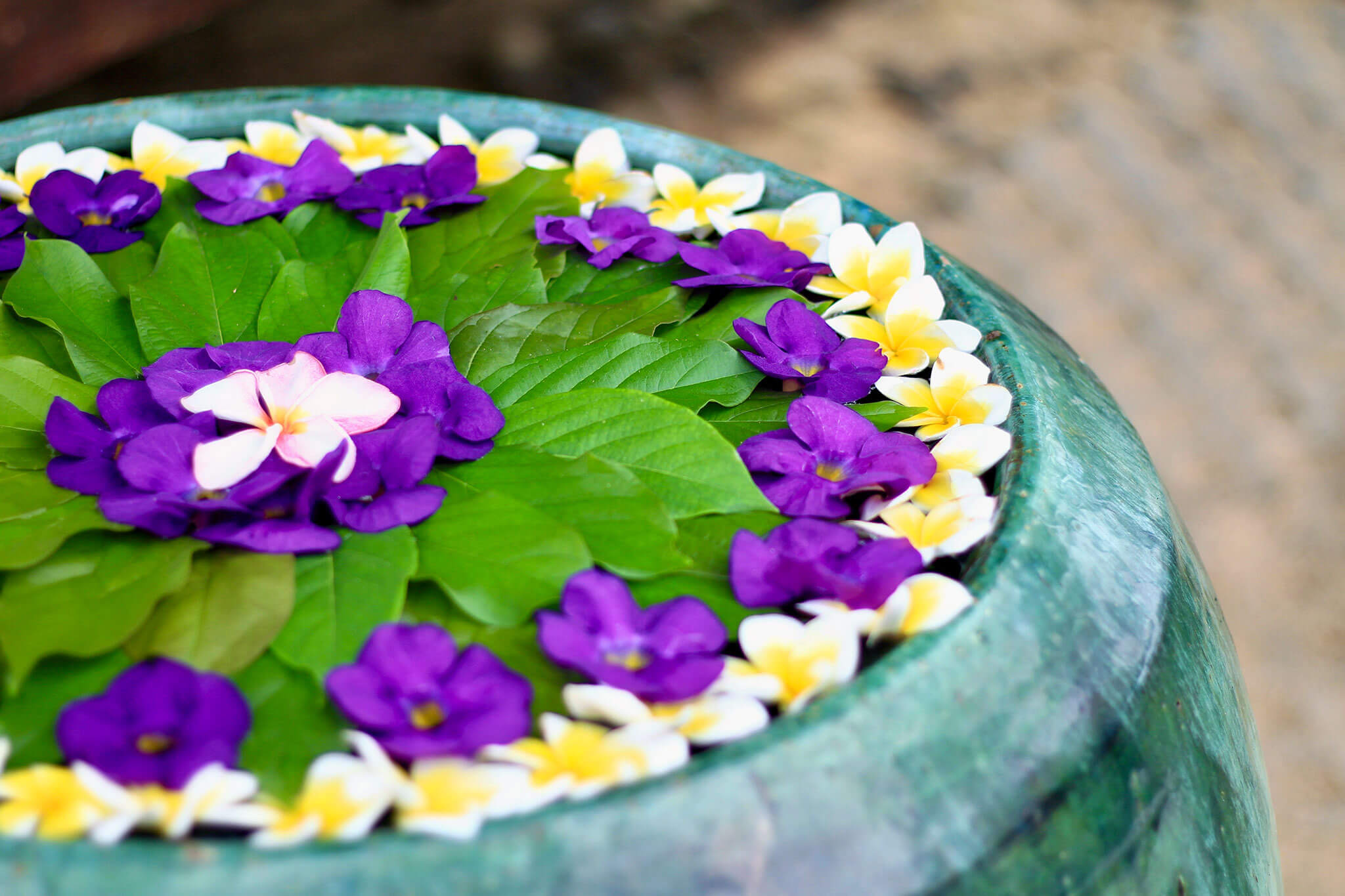 Summer Relaxation Awaits - Thư giãn mùa Hè - Peony Spa, Pandanus Resort, Mui Ne, Phan Thiet