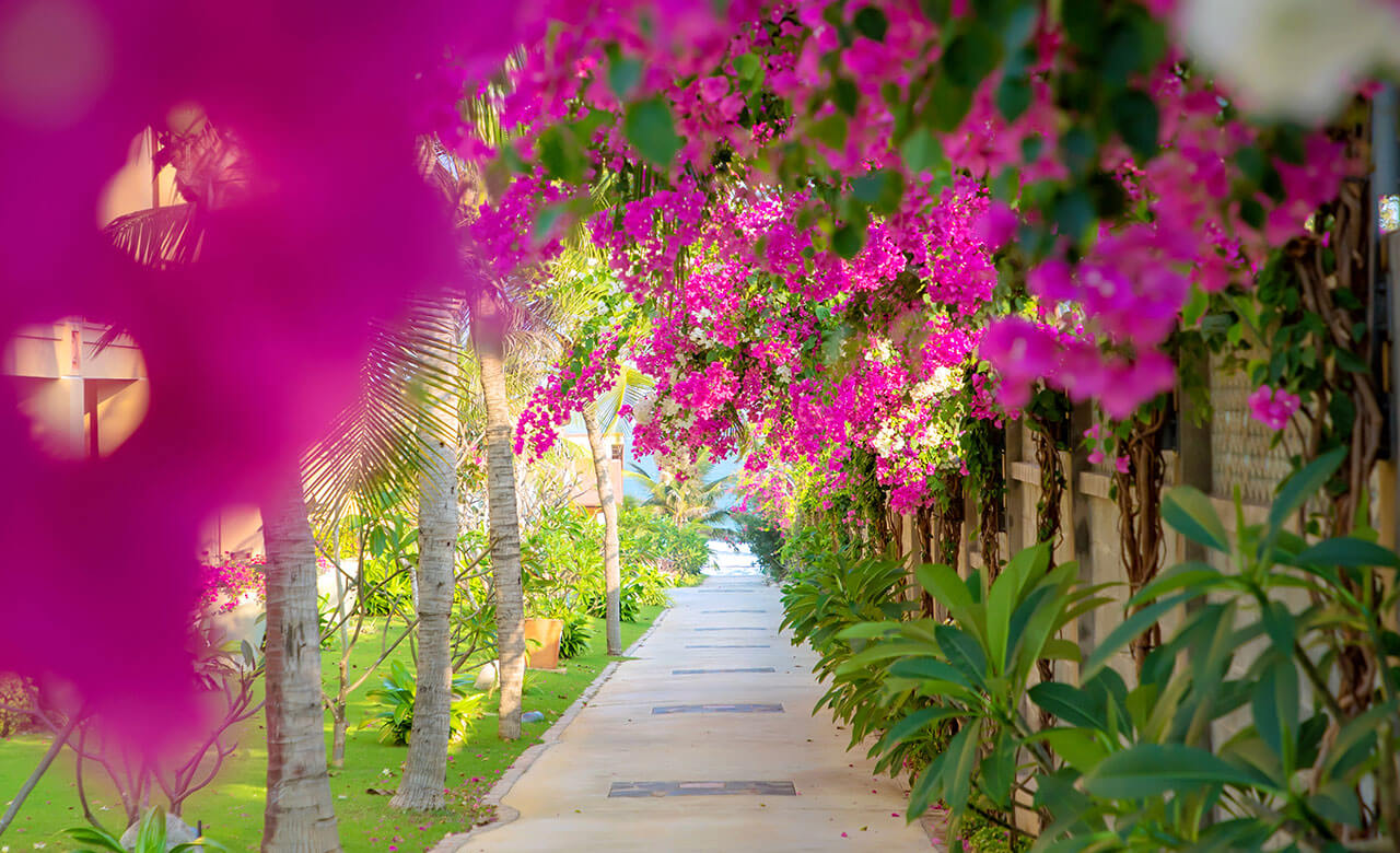 Nơi bình yên sóng vỗ, Enriching Oasis, Pandanus Resort, Mui Ne