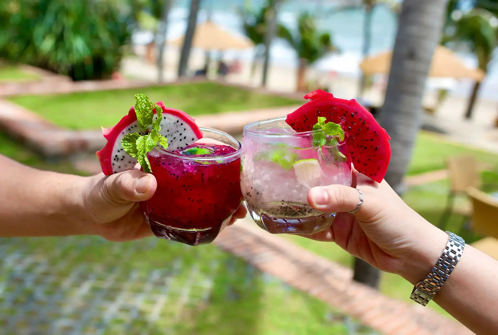 Bản hòa ca giữa đồi cát bay, làng chài và vườn thanh long: Mũi Né, Phan Thiết