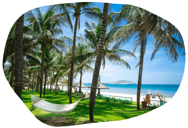 Step into Pandanus with Cham Culture. Experience Pandanus. Enriching Oasis. Nơi bình yên sóng vỗ. Chiêm ngưỡng vẻ đẹp của Pandanus. Immerse yourself in the beauty of Pandanus. Mũi Né – Vẻ đẹp thiên nhiên hoang sơ hòa cùng nhịp sống êm đềm.