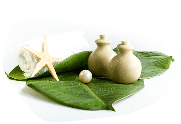 Step into Pandanus with Cham Culture