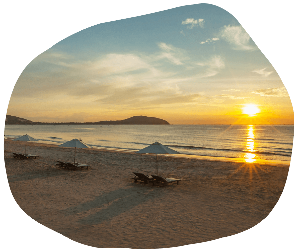 Pandanus Pandanus Stay 3 Pay 2 Feature 1