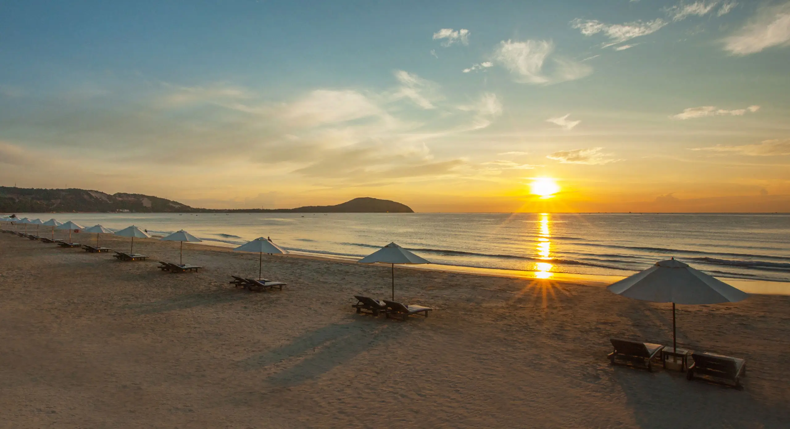 Pandanus Pandanus Stay 3 Pay 2 Landing 2