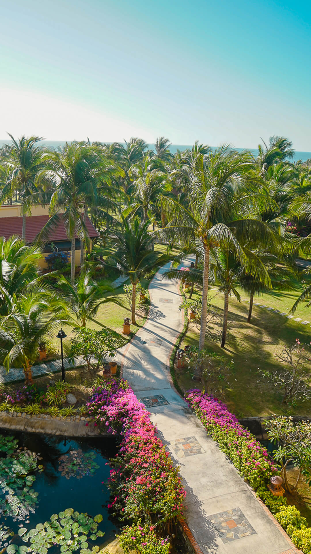 Pandanus Resort News Ban Tin Cap Nhat