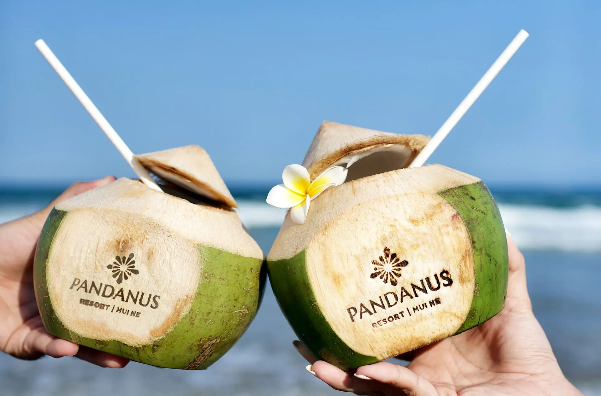 Summer Sip Complete the meal with the refreshing sweetness of fresh coconut, gently balancing the palate with a light and relaxing finish. Complimentary a chilled coconut per guest.