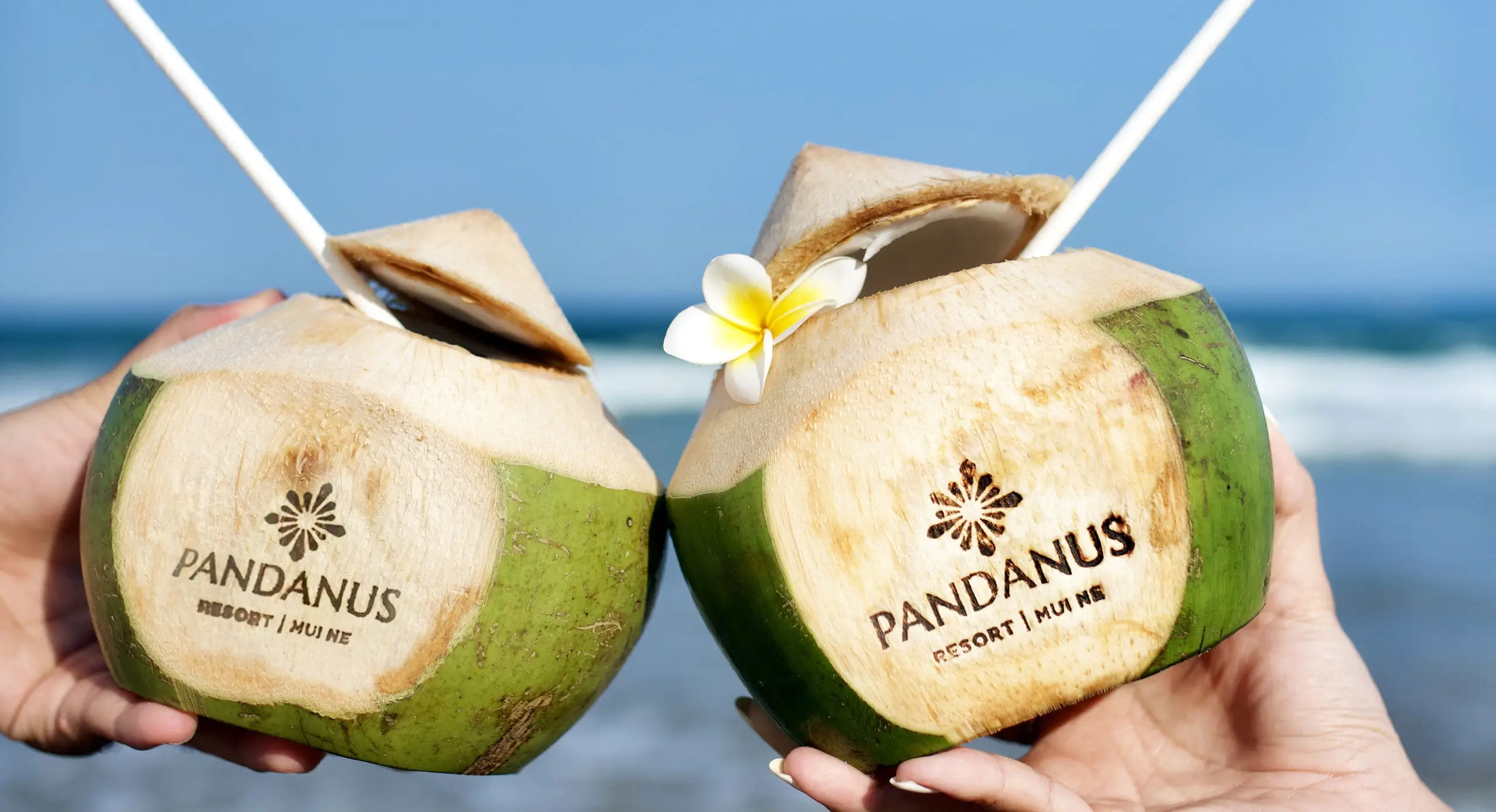 Pandanus Resort Summer Sip Home