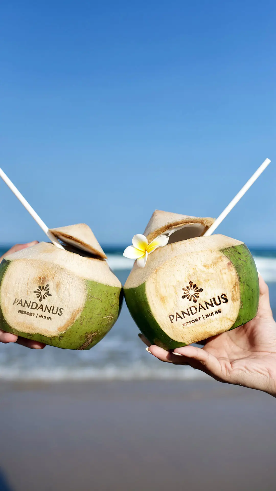 Pandanus Resort Summer Sip Mobile