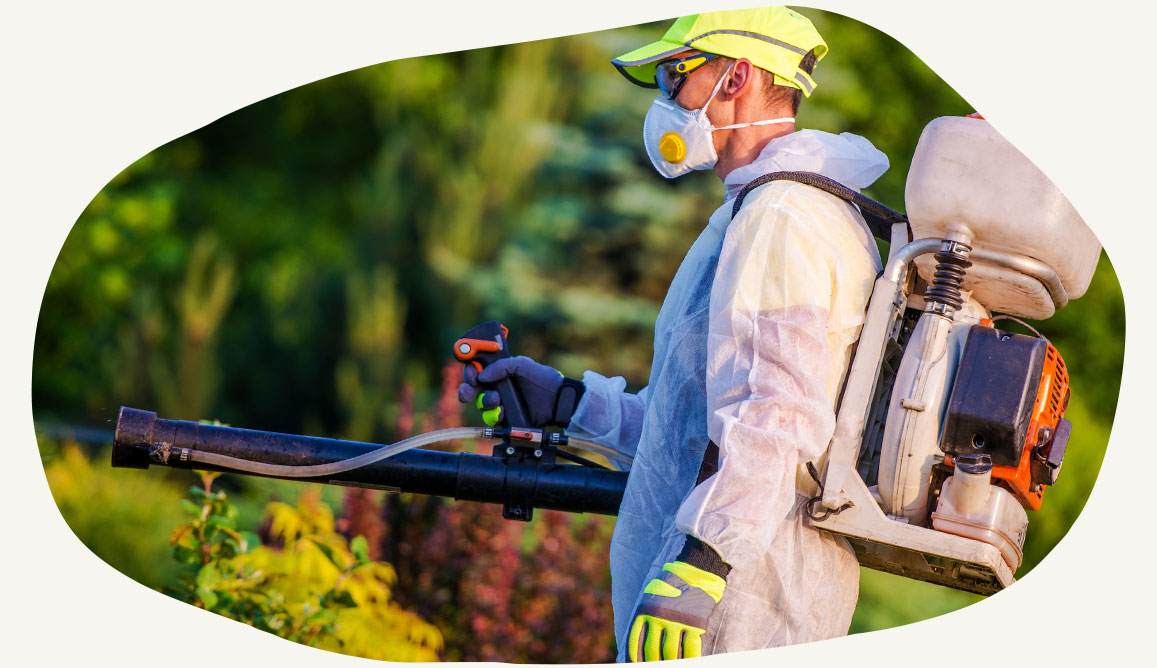 pest control schedule